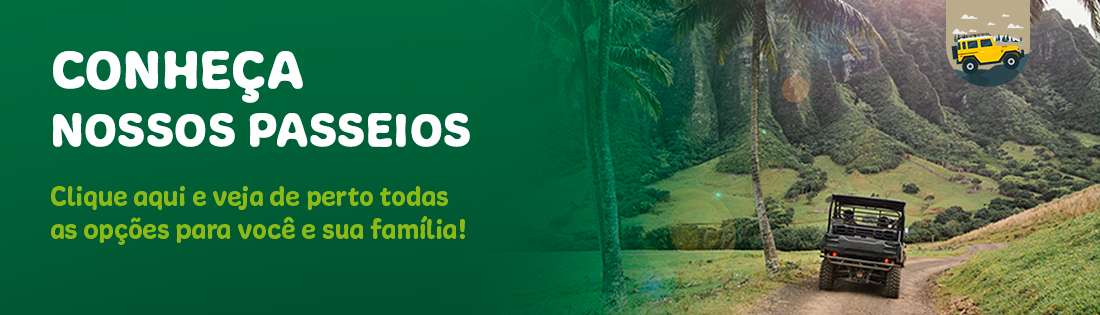 Bem-vindo!