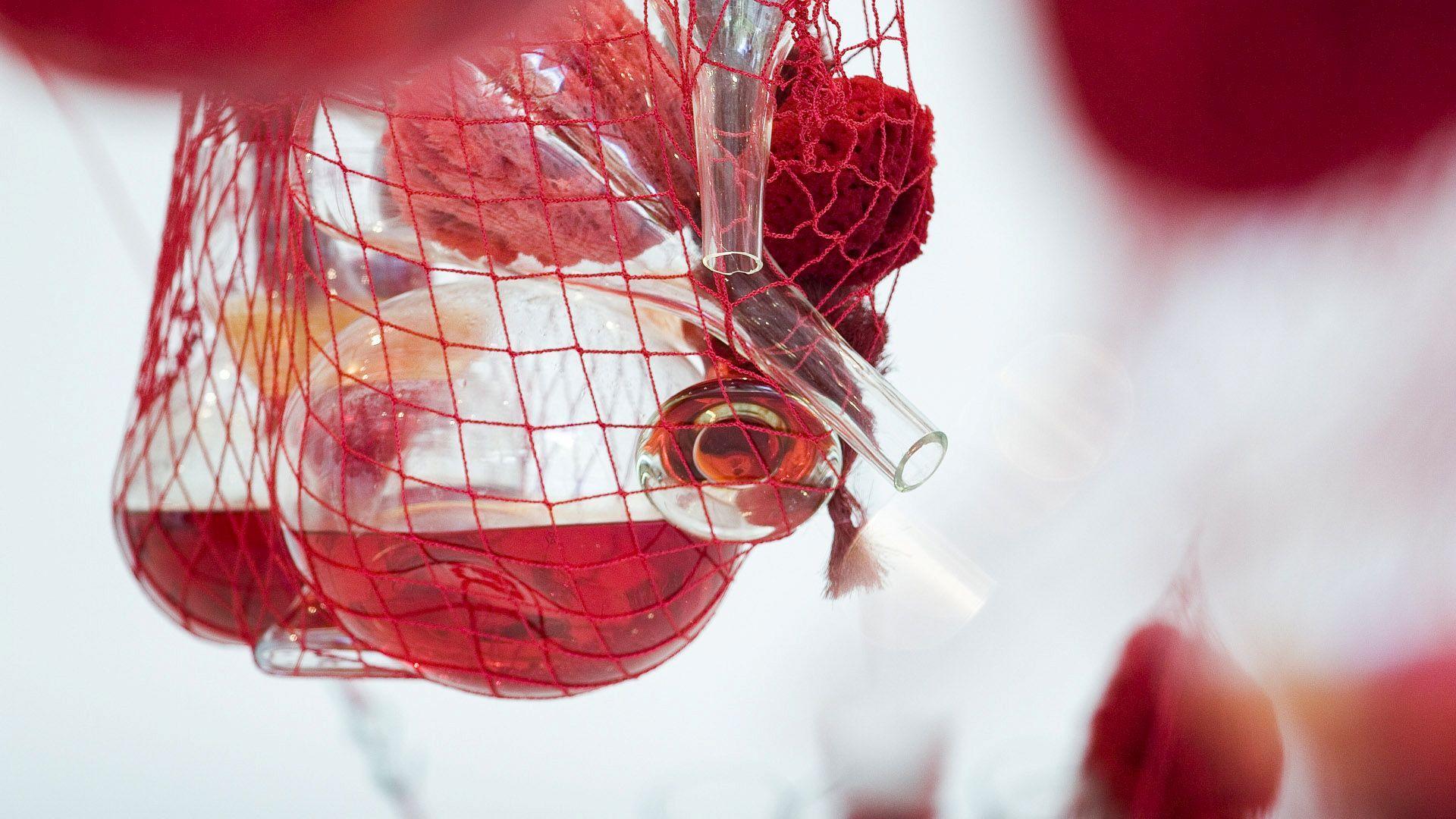 Pré-reserva - Visita Mediada Bilingue 3h