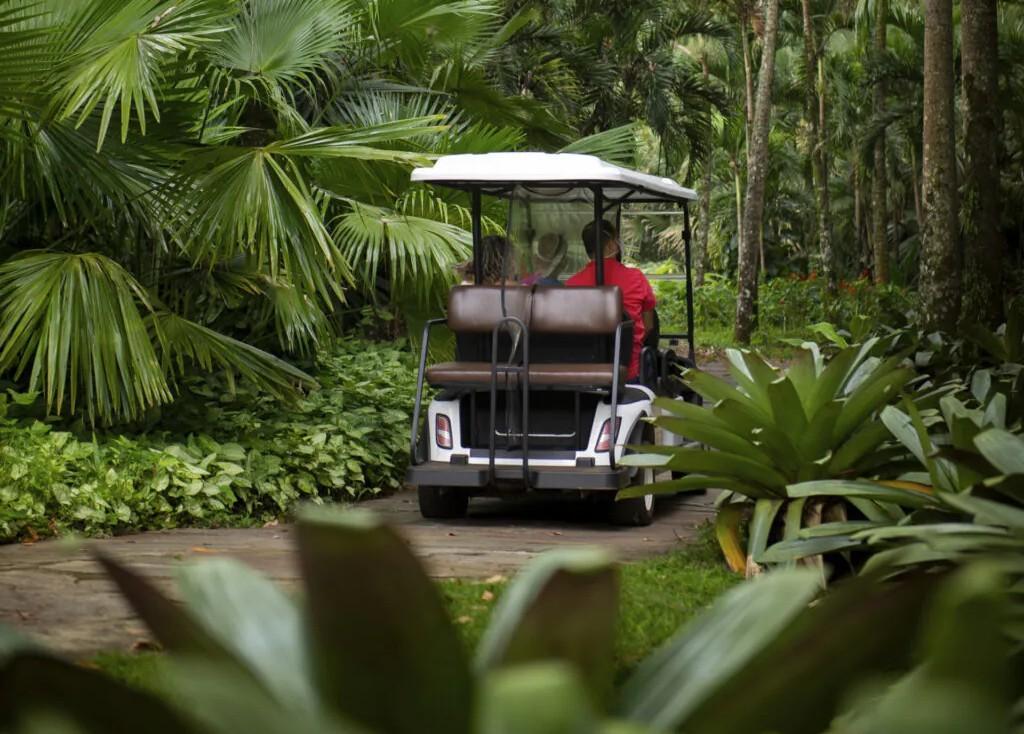 Transporte Exclusivo MANHÃ