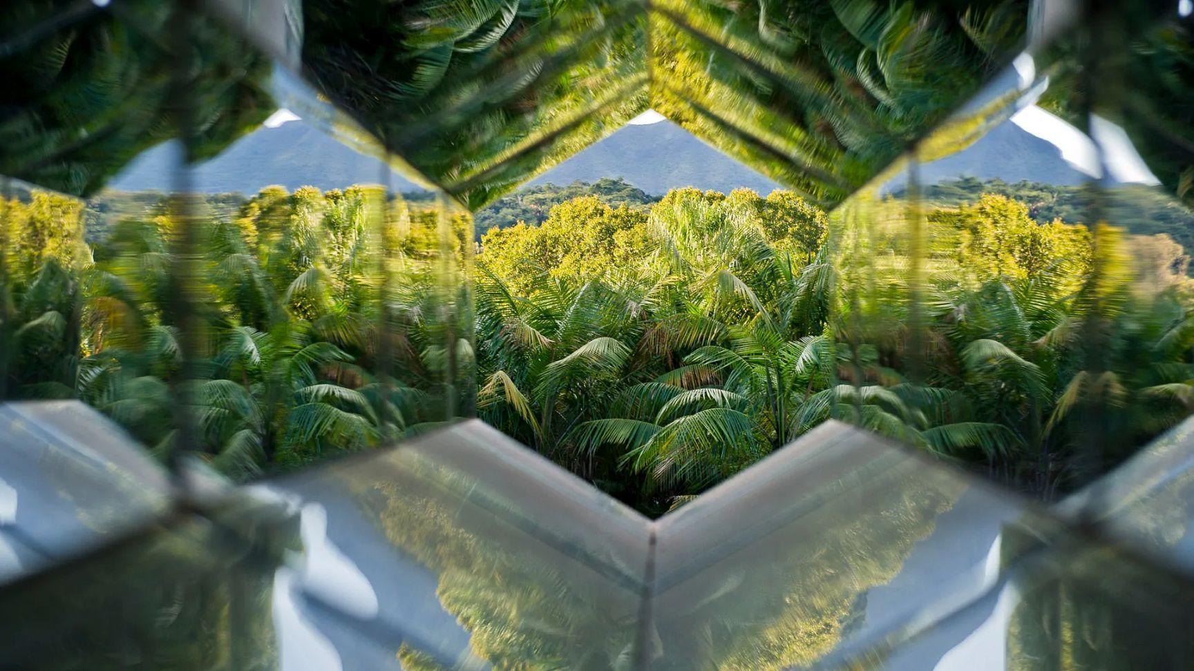 Pré-reserva - Visita Mediada Manhã 3h