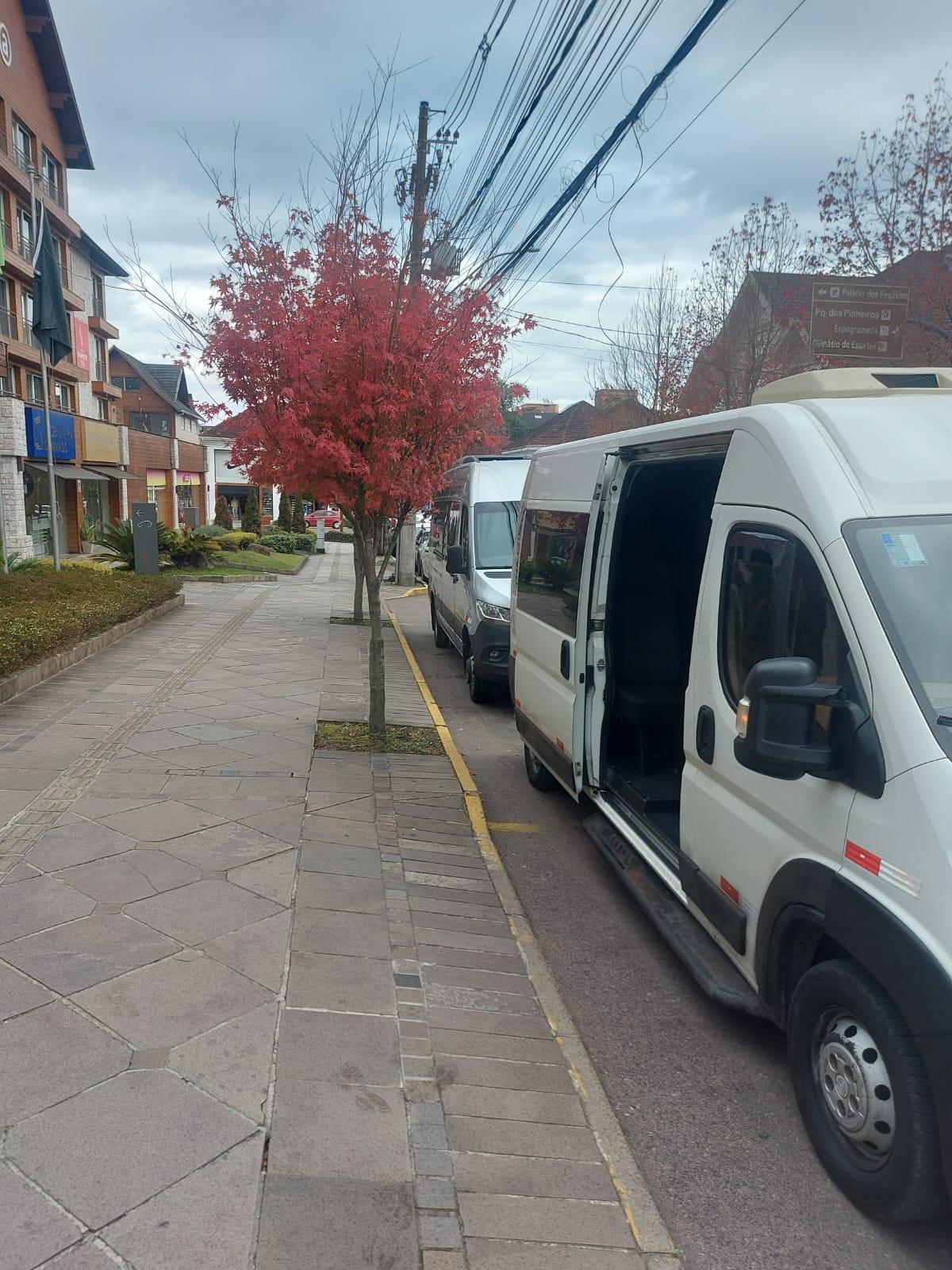 TRANSFER IN/OUT COLETIVO