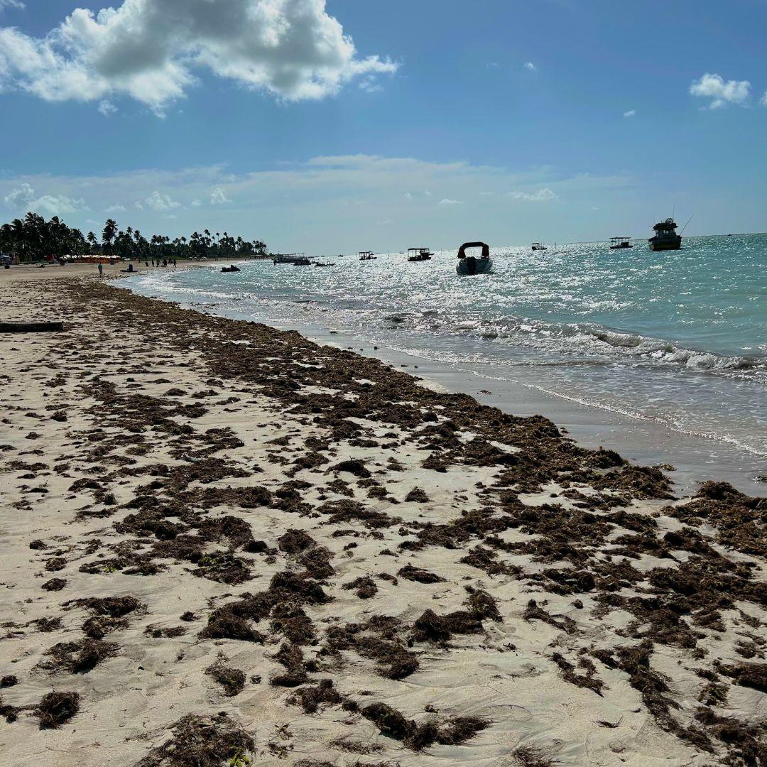 Maragogi - Barra Grande