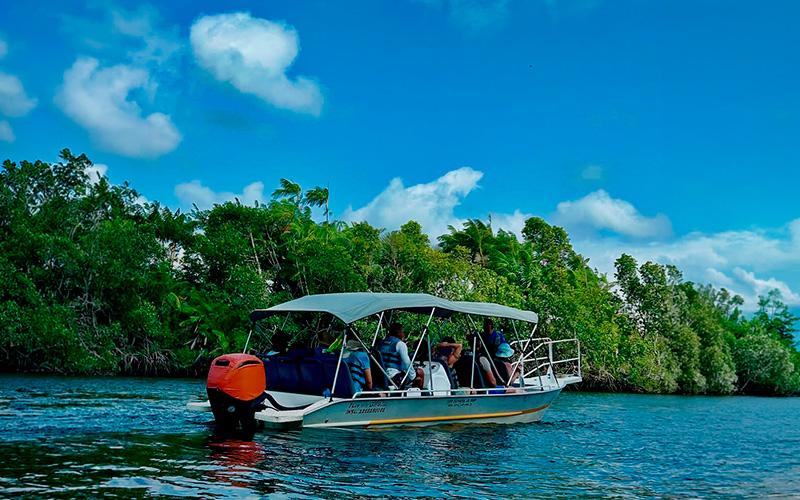 Caburé (Rio Preguiças)