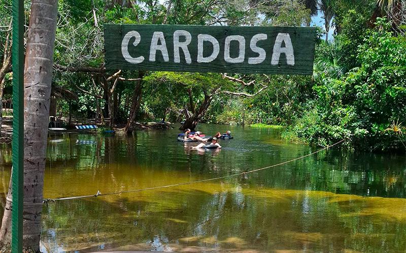 Circuito Cardosa