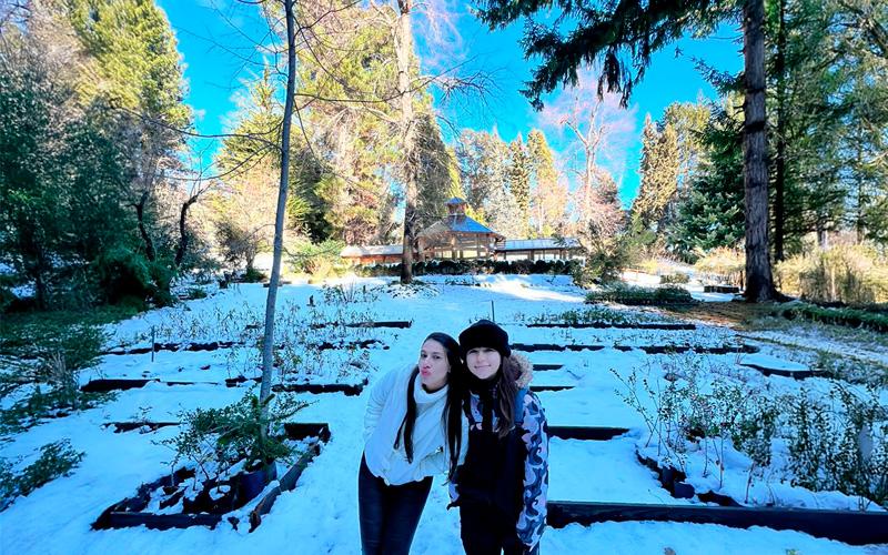 Isla Victoria y Bosque de Arrayanes VIP